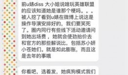 小条网红黑历史爆料视频,那些被隐藏的黑历史瞬间